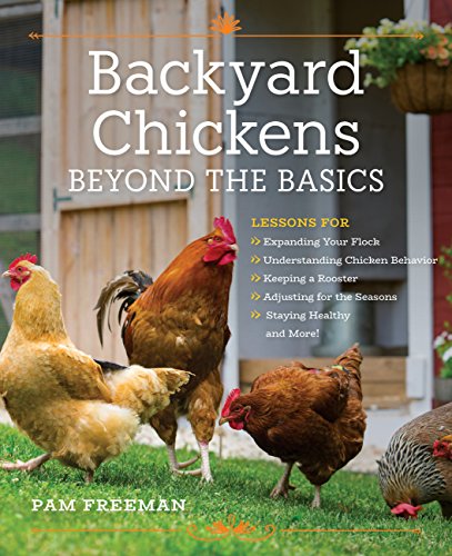 Backyard Chickens Beyond The Basics