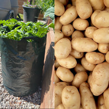 Load image into Gallery viewer, Grow Your Own Potatoes Bundle
