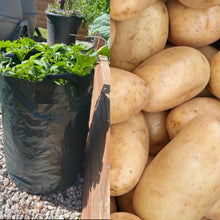 Load image into Gallery viewer, Grow Your Own Potatoes Bundle
