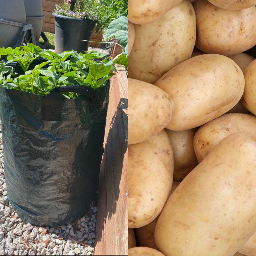 Grow Your Own Potatoes Bundle