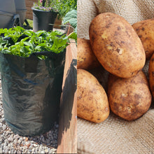 Load image into Gallery viewer, Grow Your Own Potatoes Bundle
