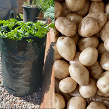 Load image into Gallery viewer, Grow Your Own Potatoes Bundle
