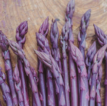 Load image into Gallery viewer, Asparagus Purple
