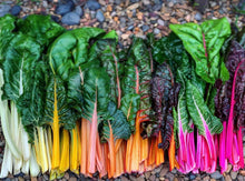 Load image into Gallery viewer, Swiss Chard Rainbow
